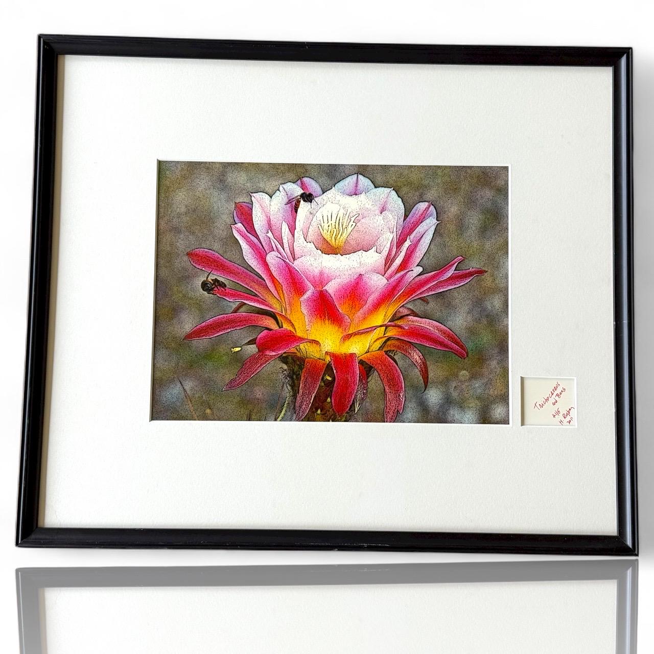 Trichocereus Flower and Bees Signed Print by H. Riga 2001 Numbered 115 Art Decor