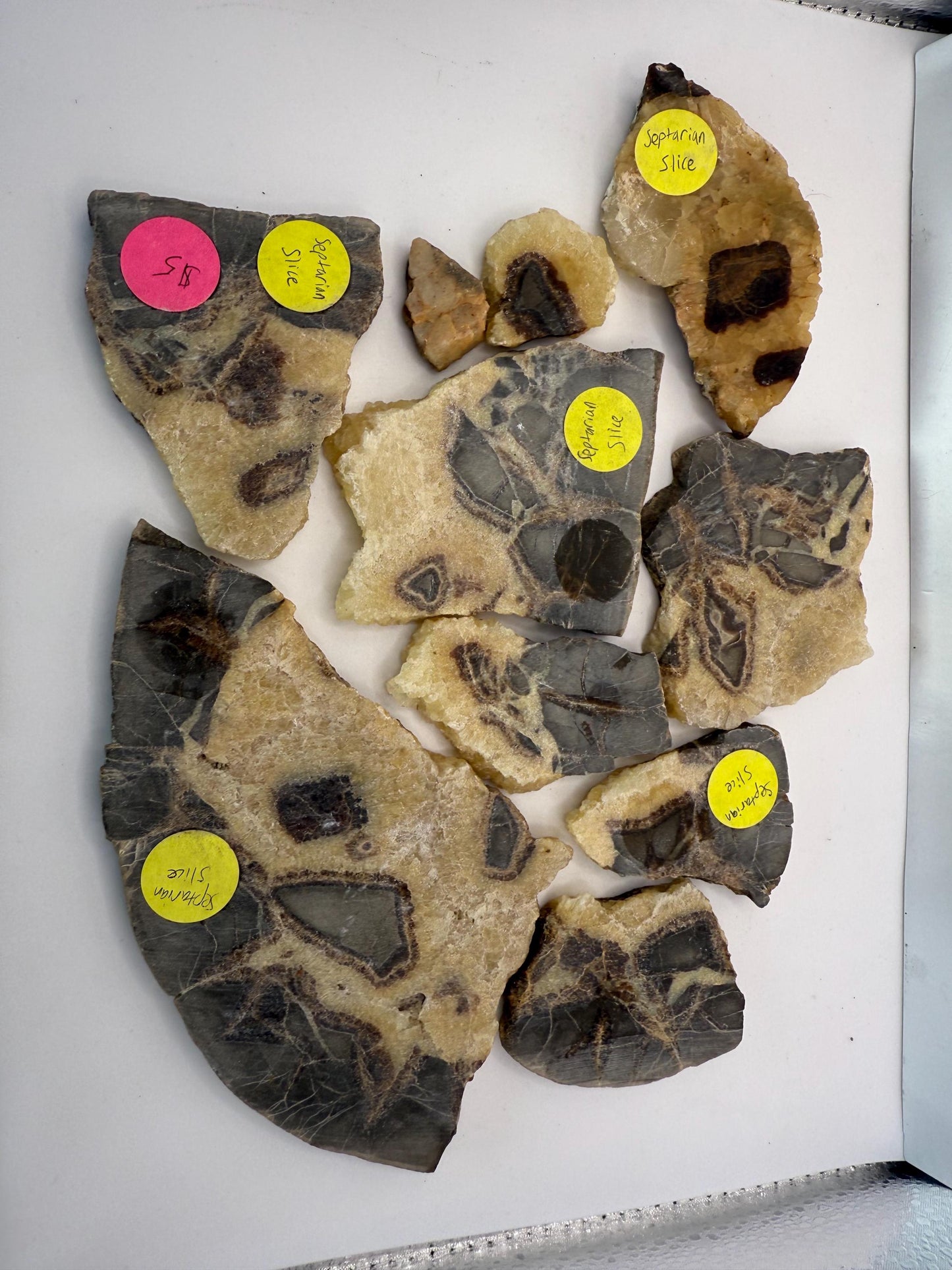 A Set of Top Grade Septarian Slabs Fine Mineral Crystals Rock Specimens