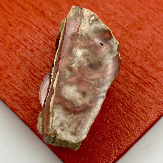 A Natural Opalized Petrified Wood Shard Pocket Size