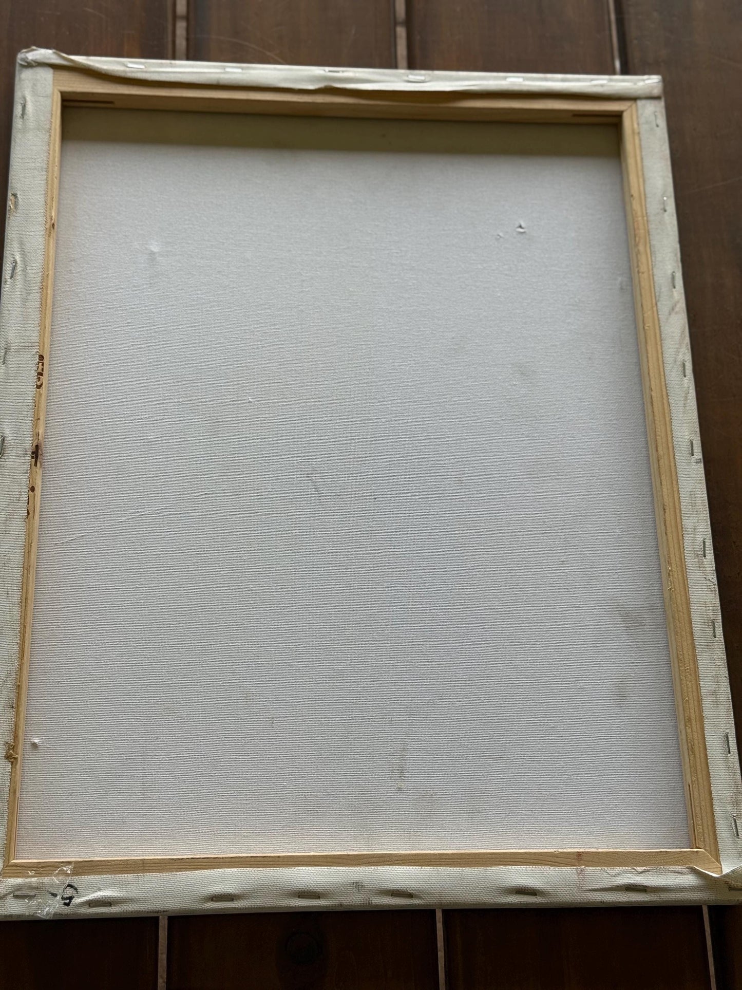 A painted canvas original artist artwork One Of A Kind Salamander minimalist art