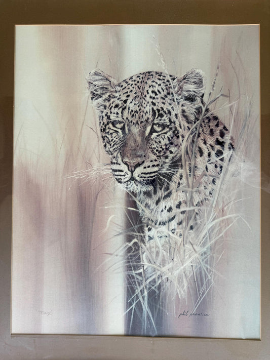 A Vintage Art Poster Lithograph Artwork Cheetah Leopard The Hunted Phil Prentice