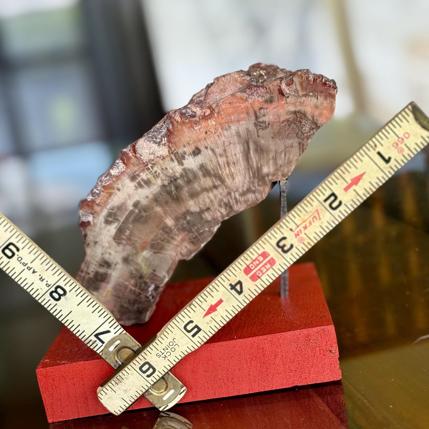 A Natural Petrified Wood Slab Paperweight Decor Home Office Desk Tabletop, Art