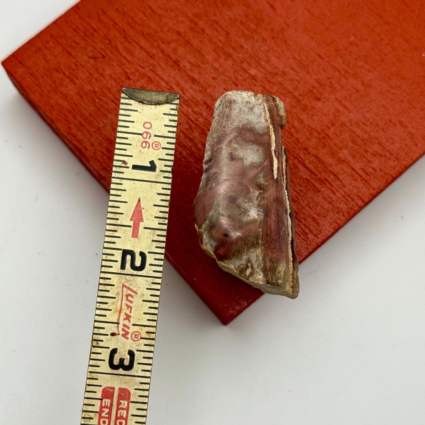 A Natural Opalized Petrified Wood Shard Pocket Size