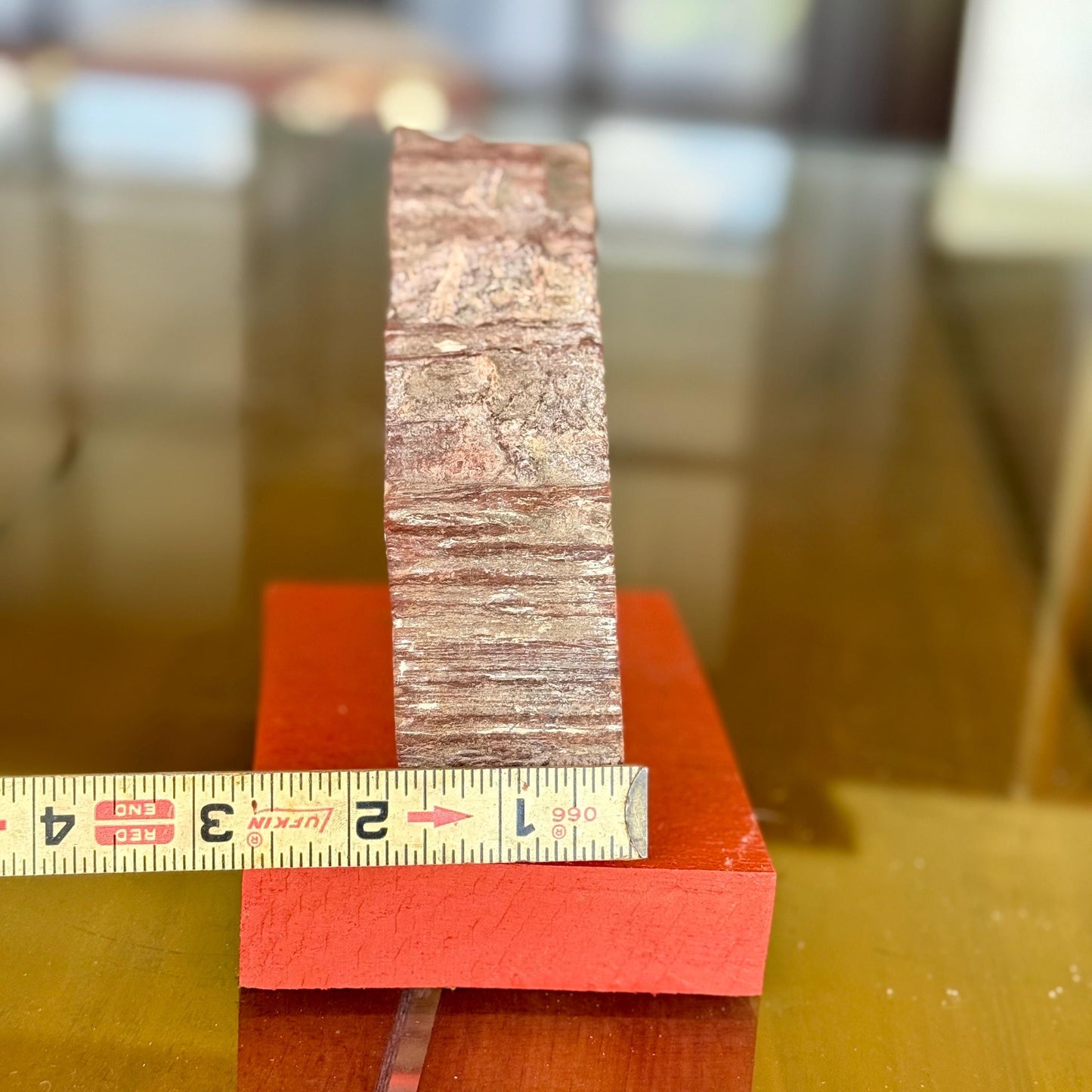 A Natural Petrified Wood Slab Paperweight Decor Home Office Desk Tabletop, Art