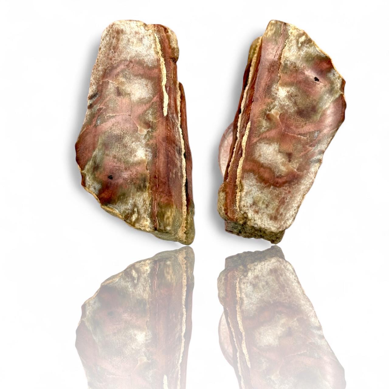 A Natural Opalized Petrified Wood Shard Pocket Size