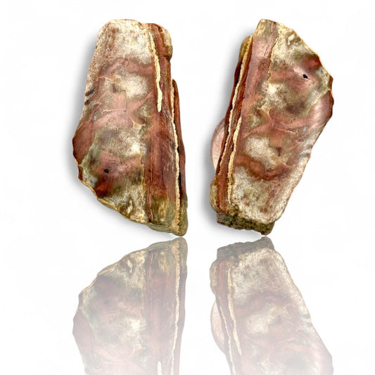 A Natural Opalized Petrified Wood Shard Pocket Size