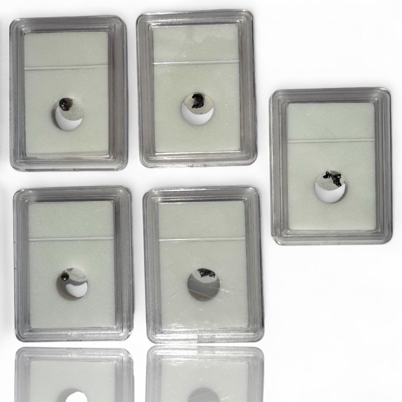 A Set of 5 Authentic Meteorite Space Rock Campo Del Cielo Discovered Crystal