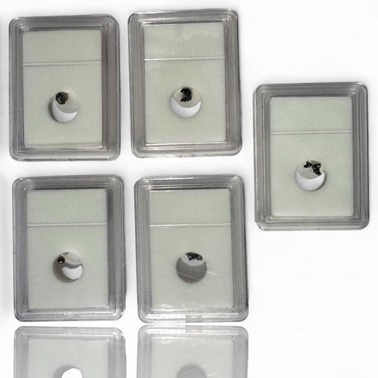 A Set of 5 Authentic Meteorite Space Rock Campo Del Cielo Discovered Crystal