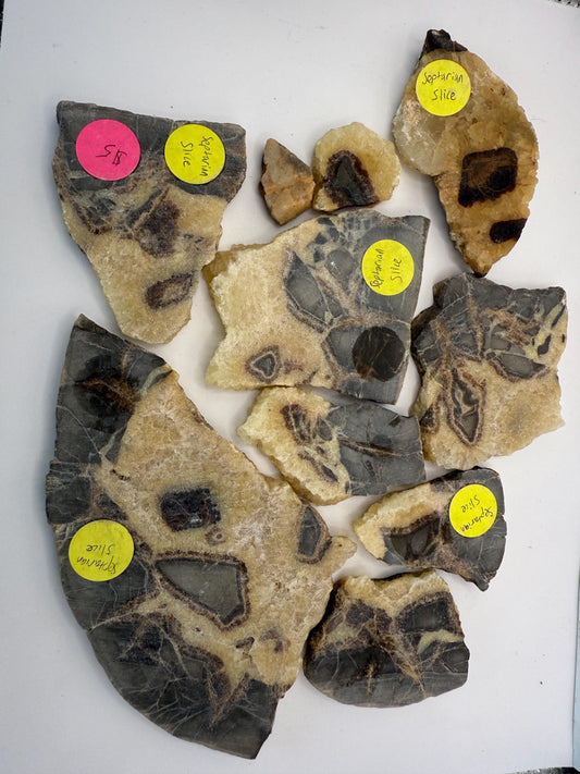 A Set of Top Grade Septarian Slabs Fine Mineral Crystals Rock Specimens