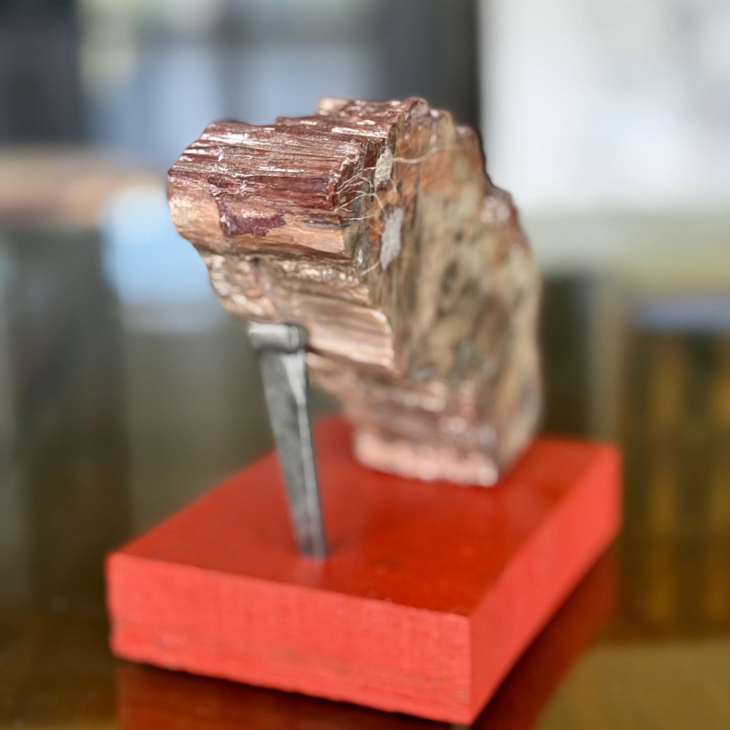 A Natural Petrified Wood Slab Paperweight Decor Home Office Desk Tabletop, Art