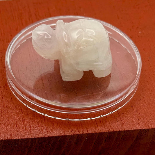 An Adorable Mini Miniature Turtle Carved Natural Rose Quartz Crystal Lucky Charm