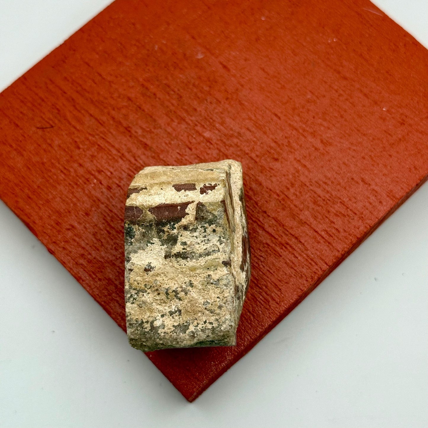 A Natural Opalized Petrified Wood Shard Pocket Size