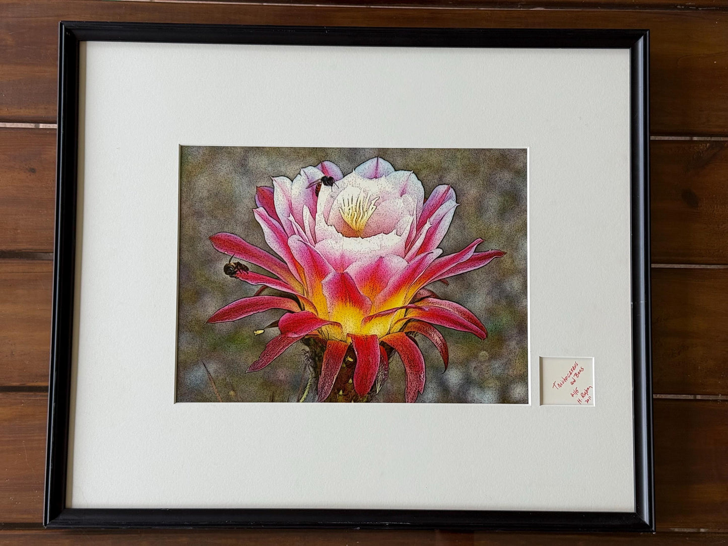 A Signed Numbered Dated Artwork Trichocereus Flower and Bees #115 H.Riga’s 2001