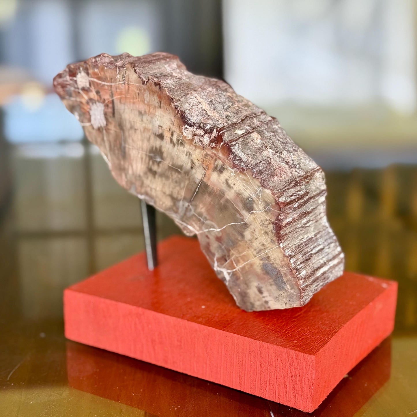 A Natural Petrified Wood Slab Paperweight Decor Home Office Desk Tabletop, Art