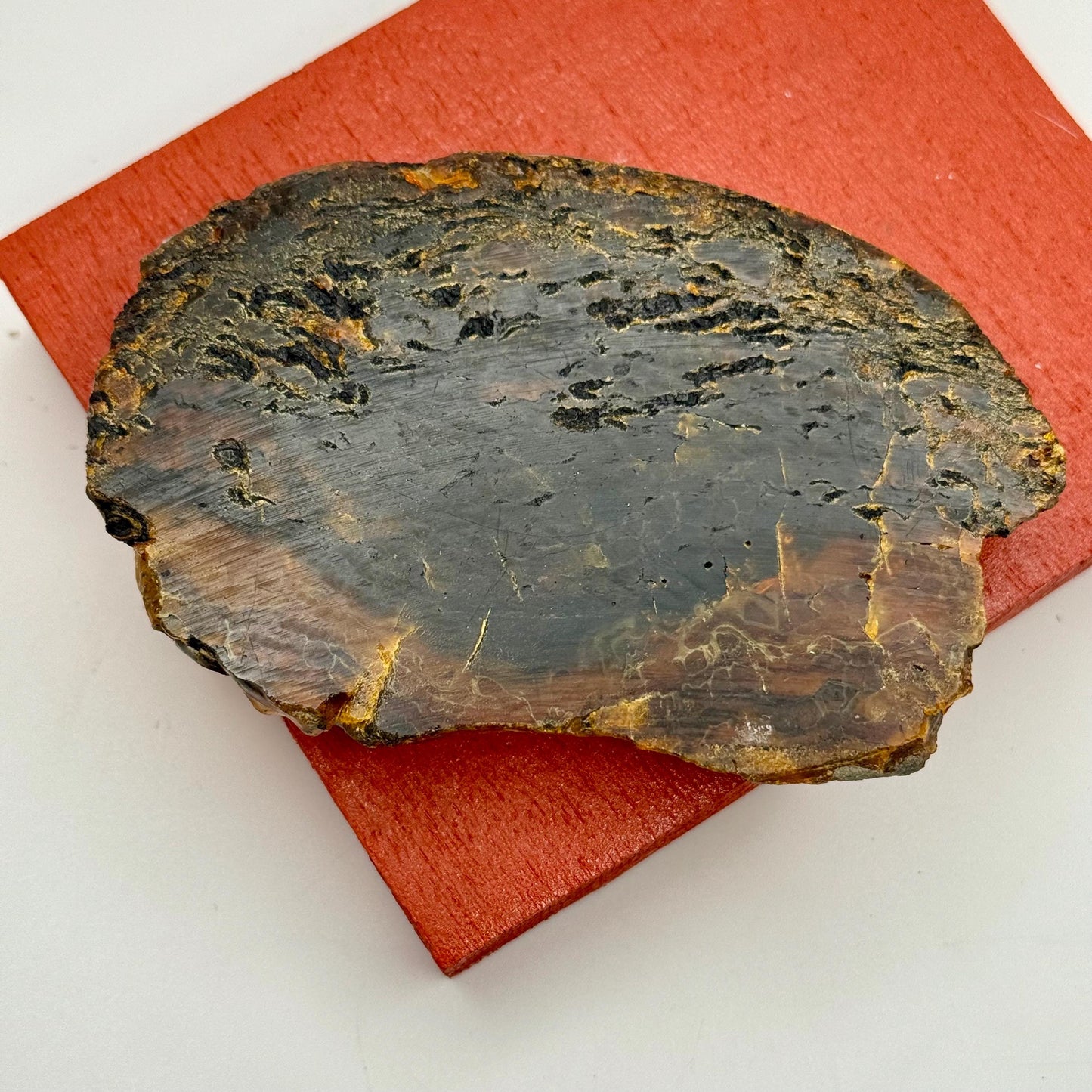 A Rare Black Natural Petrified Wood Amber Slab Fine Mineral Specimen