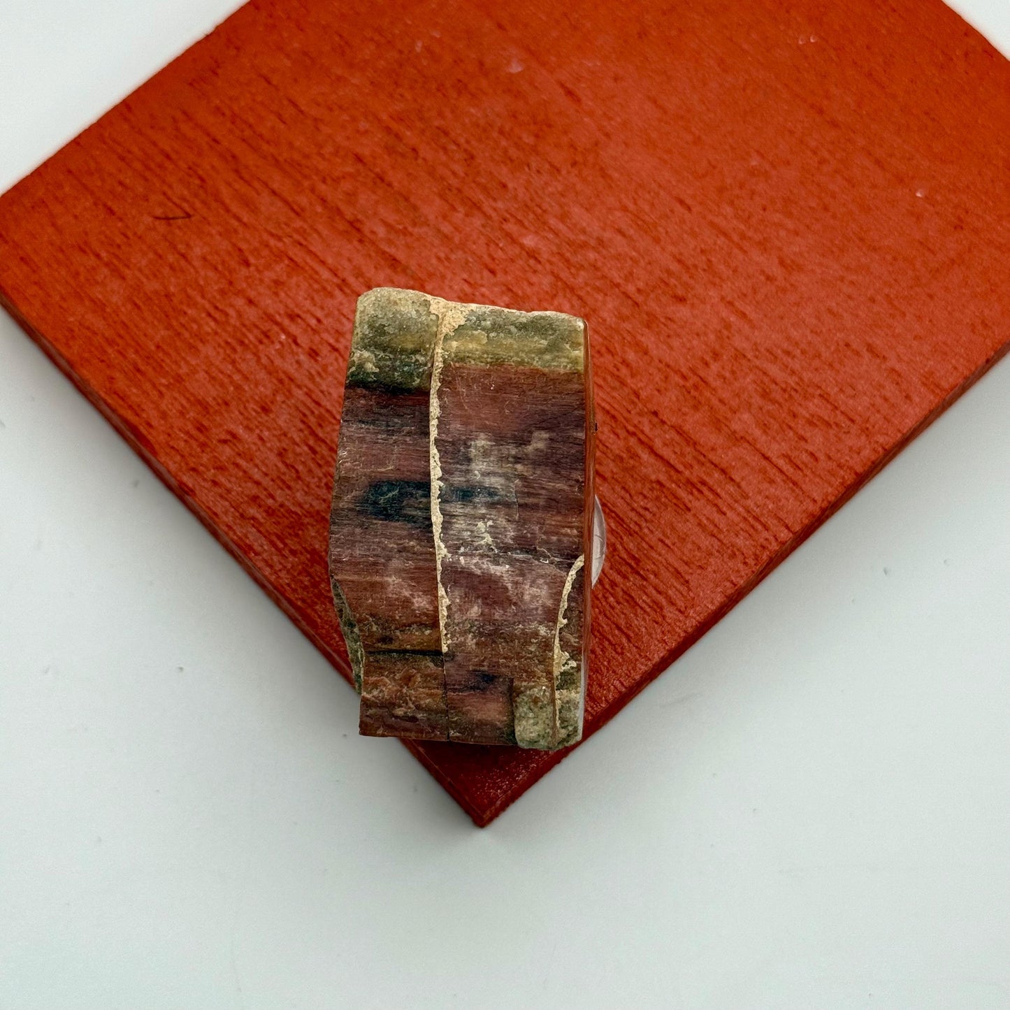 A Natural Opalized Petrified Wood Shard Pocket Size