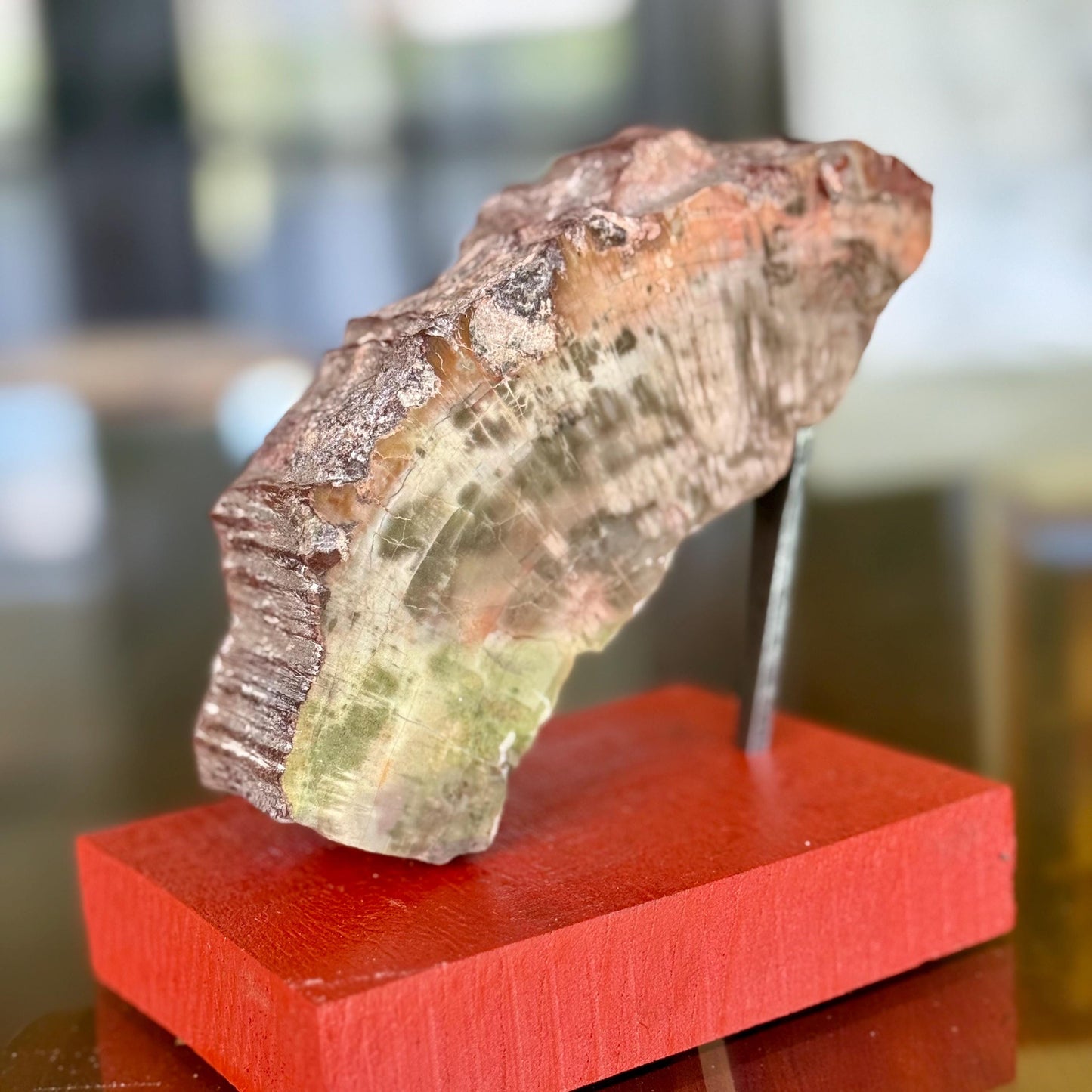 A Natural Petrified Wood Slab Paperweight Decor Home Office Desk Tabletop, Art