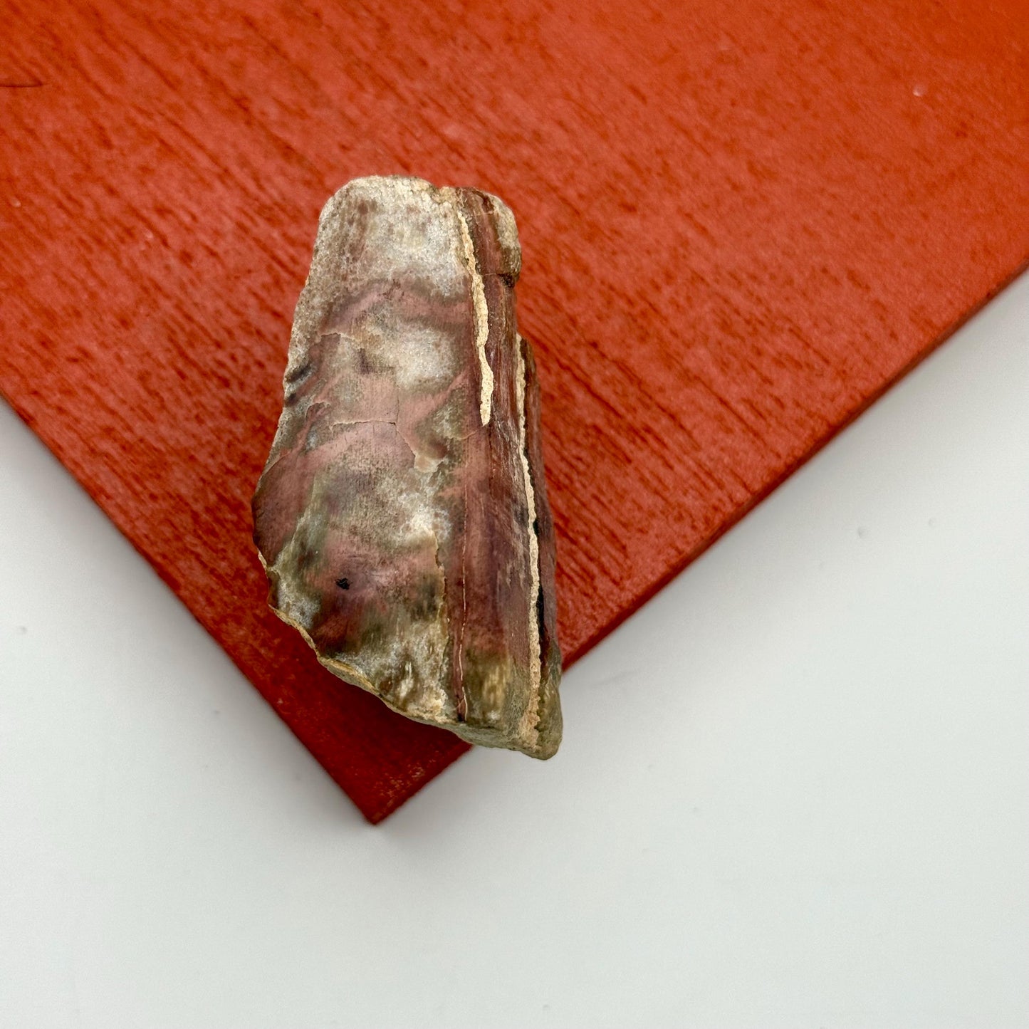 A Natural Opalized Petrified Wood Shard Pocket Size