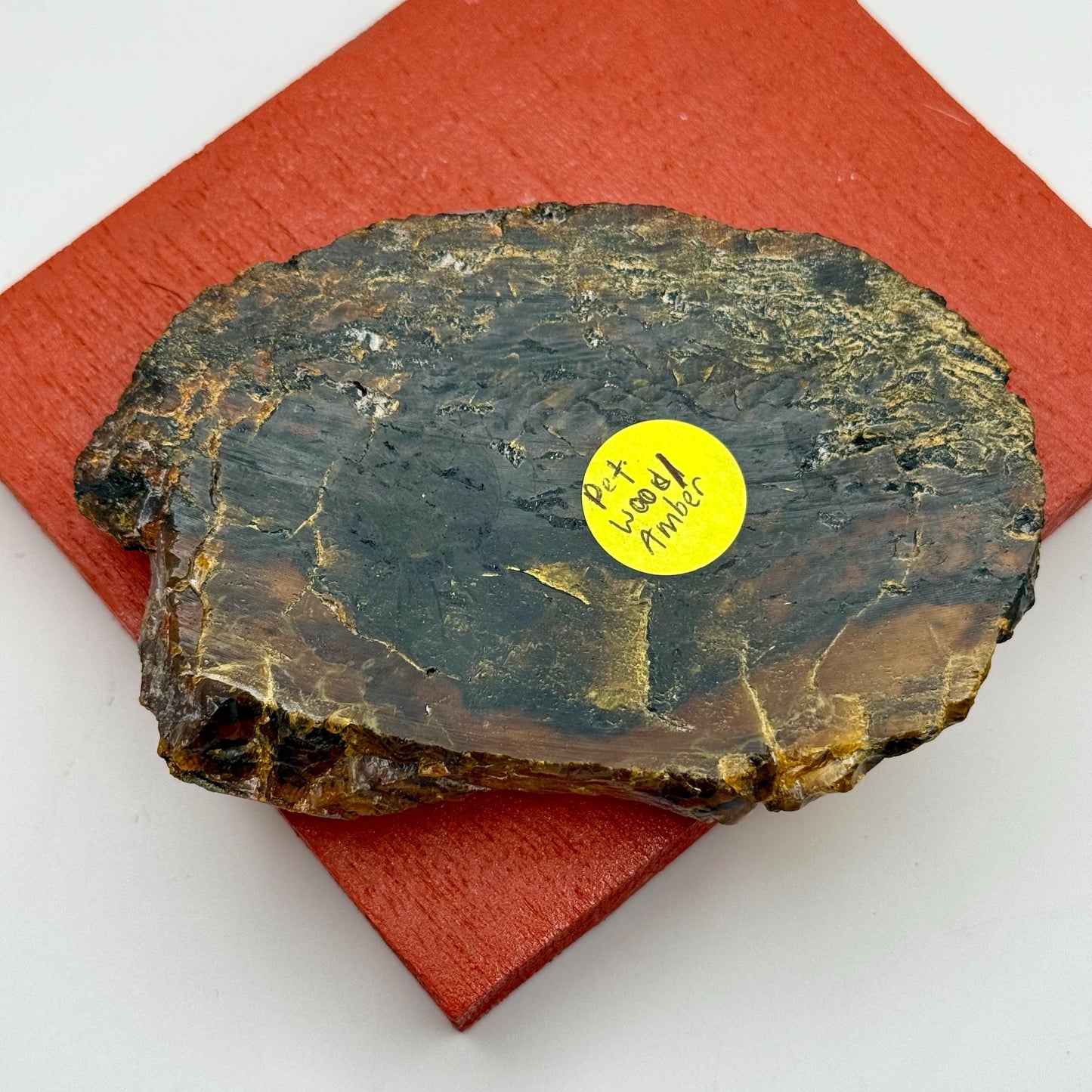 A Rare Black Natural Petrified Wood Amber Slab Fine Mineral Specimen