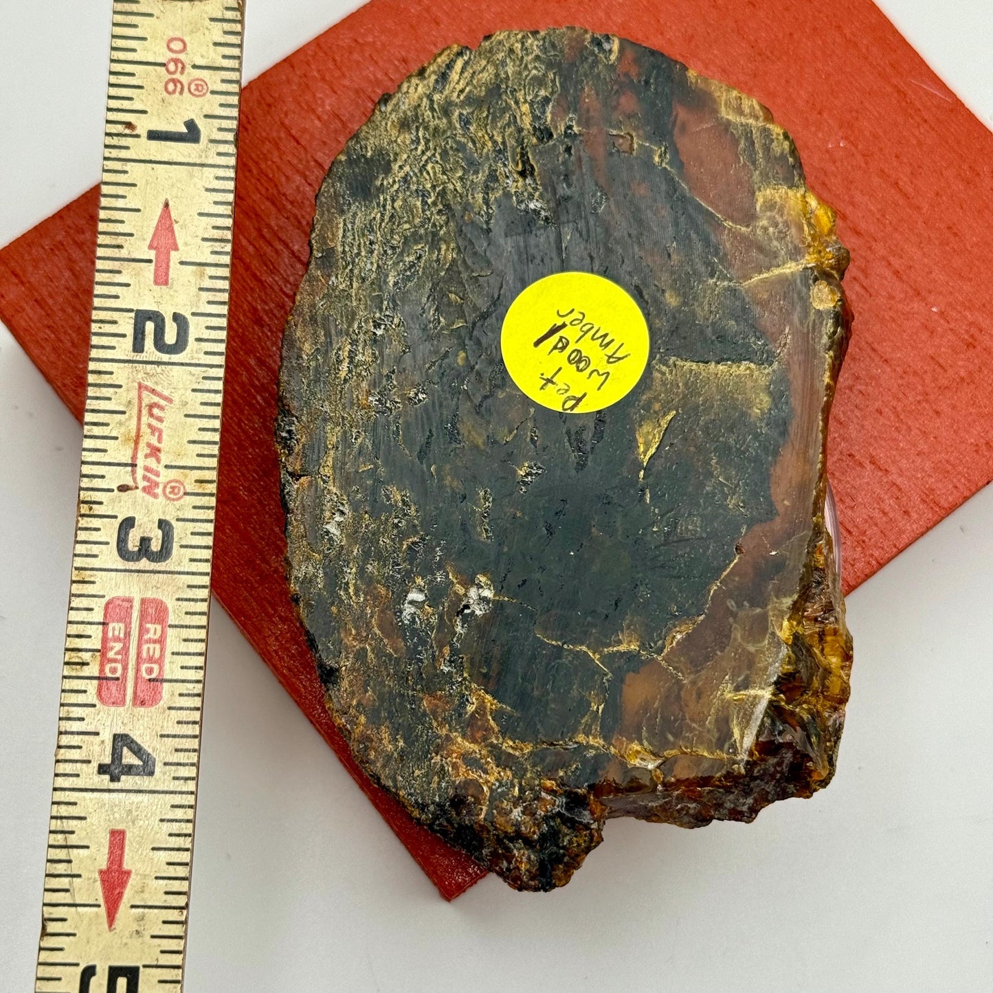 A Rare Black Natural Petrified Wood Amber Slab Fine Mineral Specimen