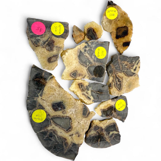 A Set of Top Grade Septarian Slabs Fine Mineral Crystals Rock Specimens