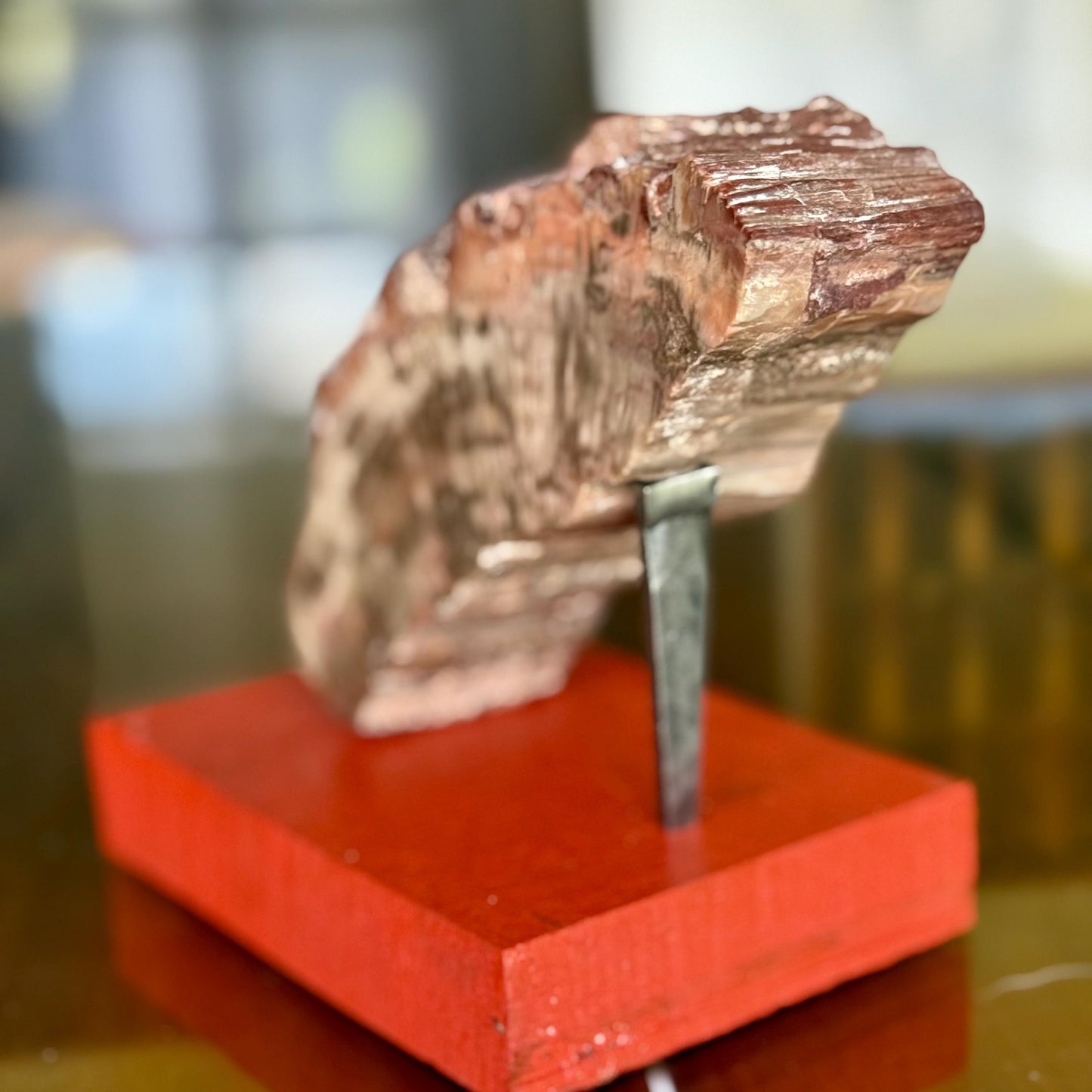 A Natural Petrified Wood Slab Paperweight Decor Home Office Desk Tabletop, Art