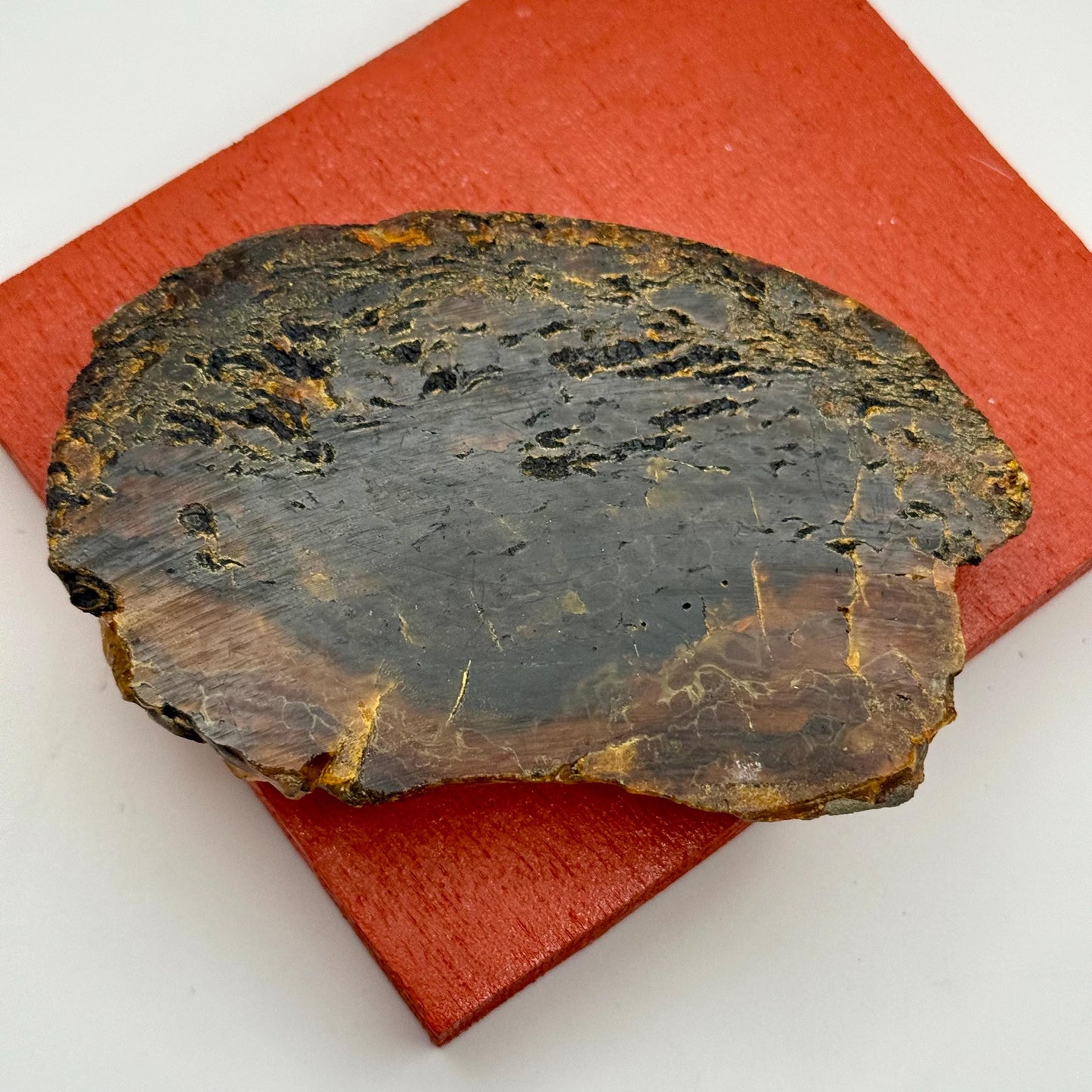 A Rare Black Natural Petrified Wood Amber Slab Fine Mineral Specimen