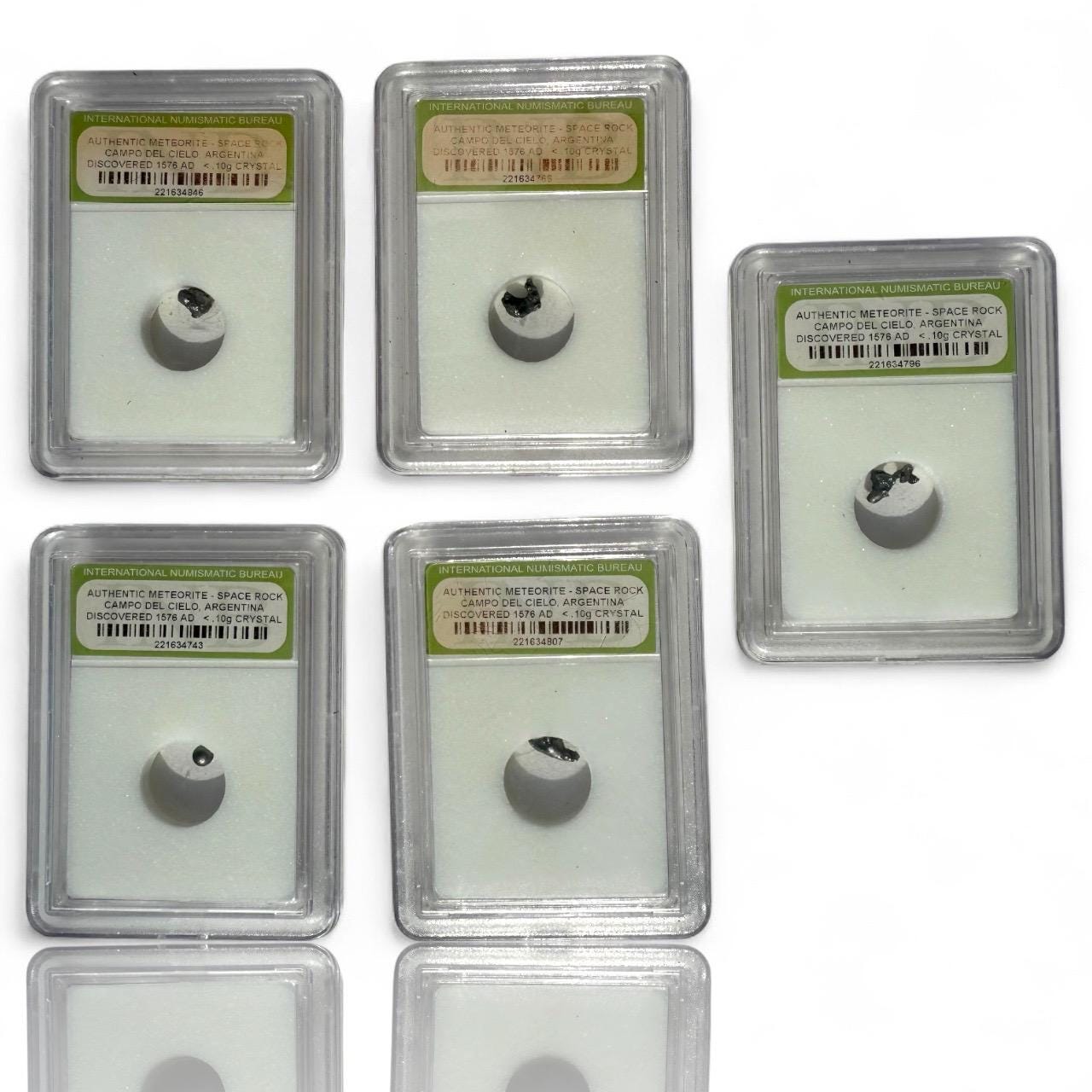 A Set of 5 Authentic Meteorite Space Rock Campo Del Cielo Discovered Crystal