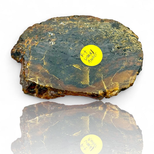 A Rare Black Natural Petrified Wood Amber Slab Fine Mineral Specimen