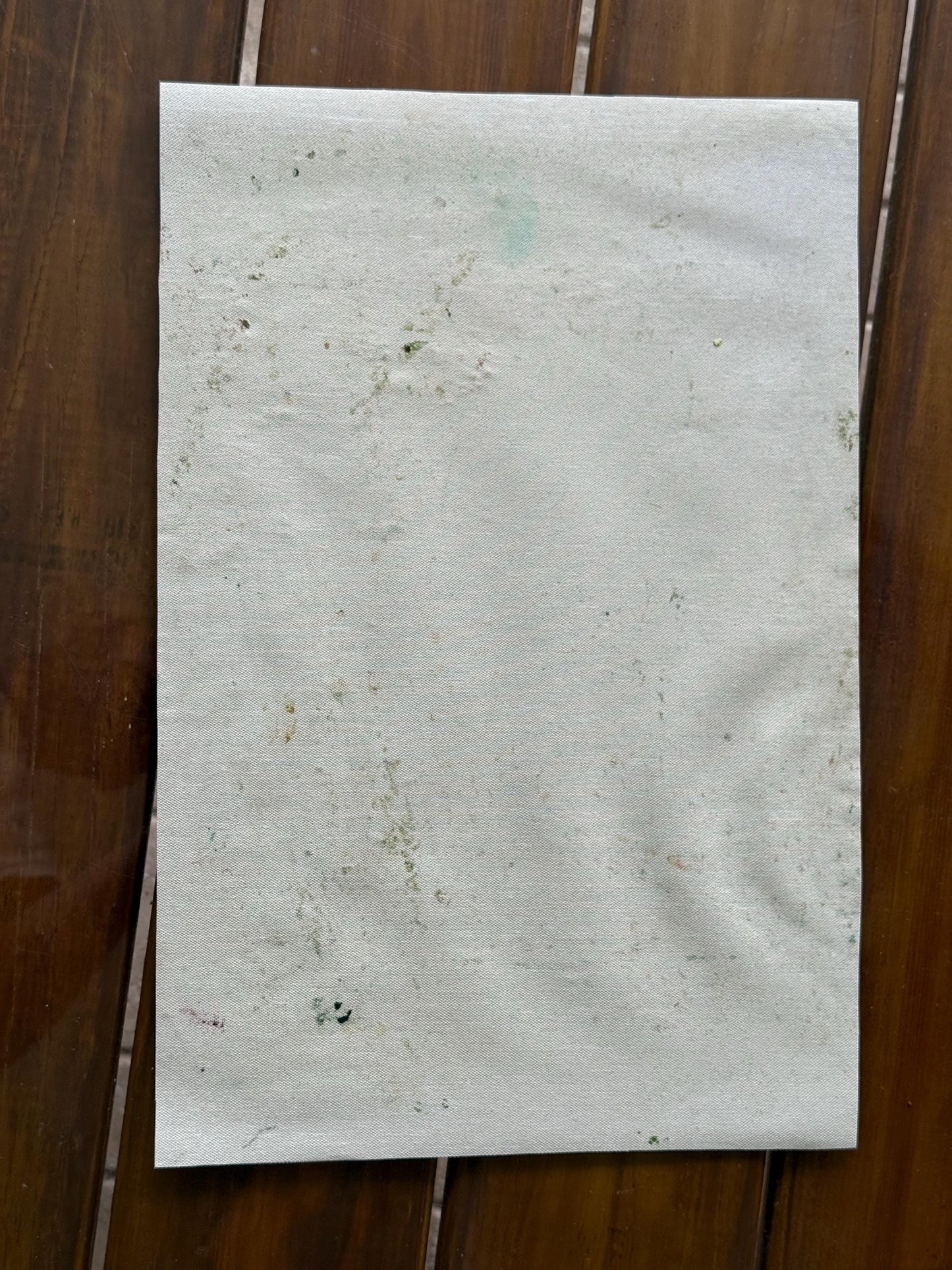 A Signed painted Original Canvas Underwater Sea Reef Dolphins Fish world art