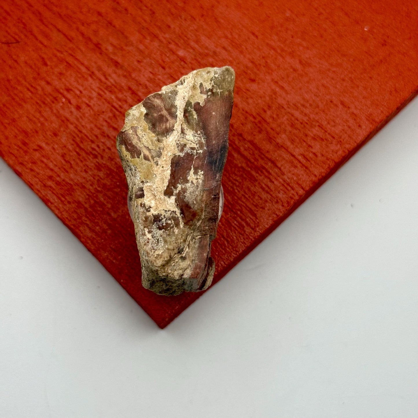 A Natural Opalized Petrified Wood Shard Pocket Size