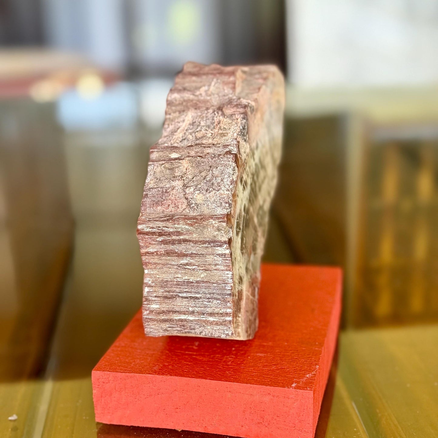 A Natural Petrified Wood Slab Paperweight Decor Home Office Desk Tabletop, Art