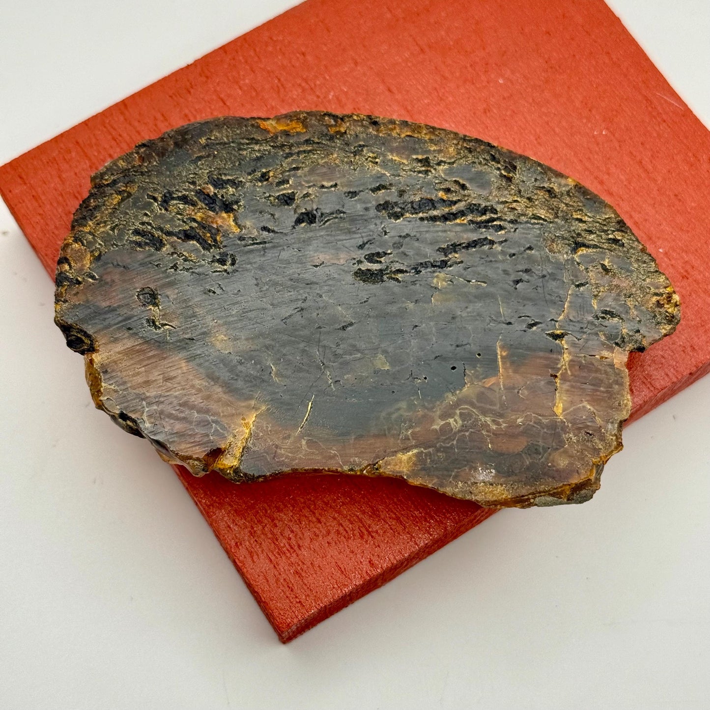 A Rare Black Natural Petrified Wood Amber Slab Fine Mineral Specimen