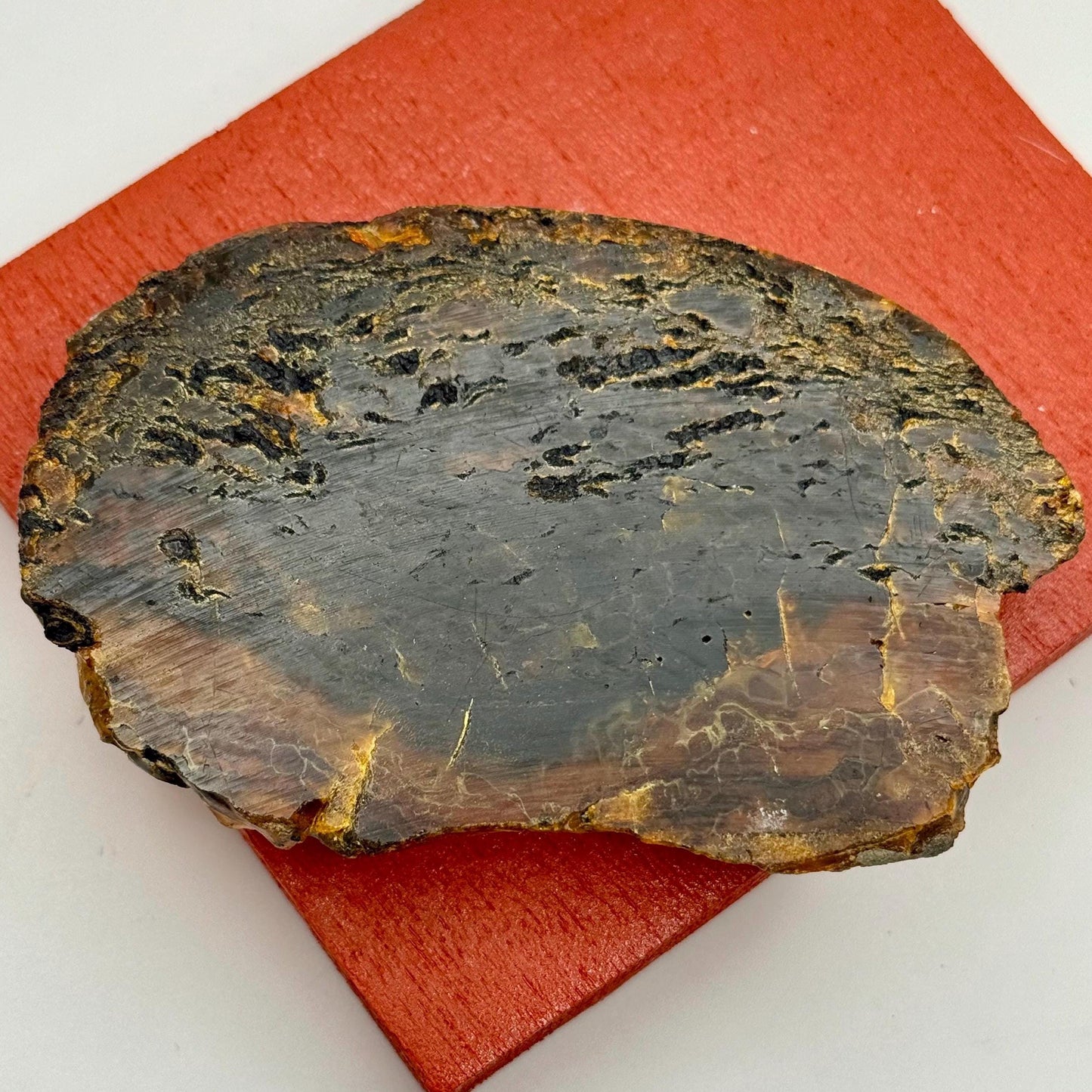 A Rare Black Natural Petrified Wood Amber Slab Fine Mineral Specimen