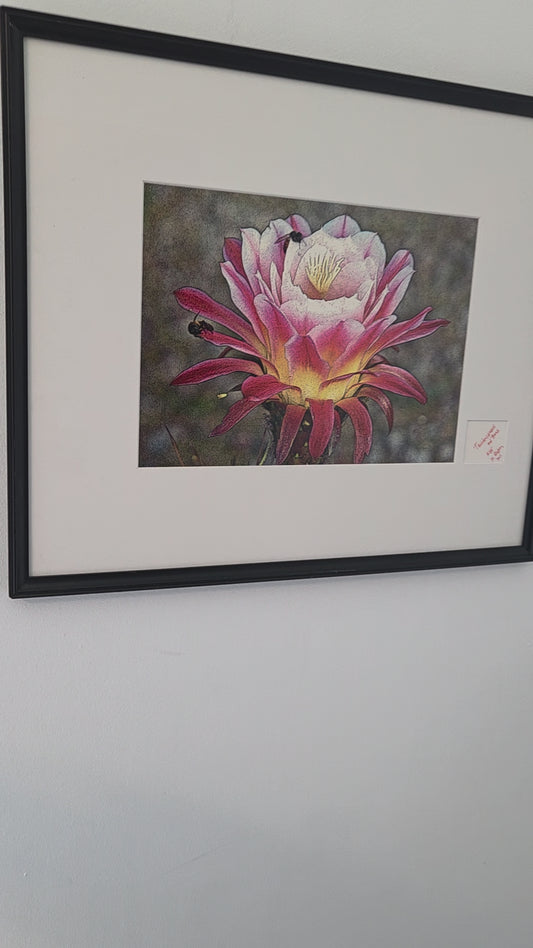 Trichocereus Flower and Bees Signed Print by H. Riga 2001 Numbered 115 Art Decor