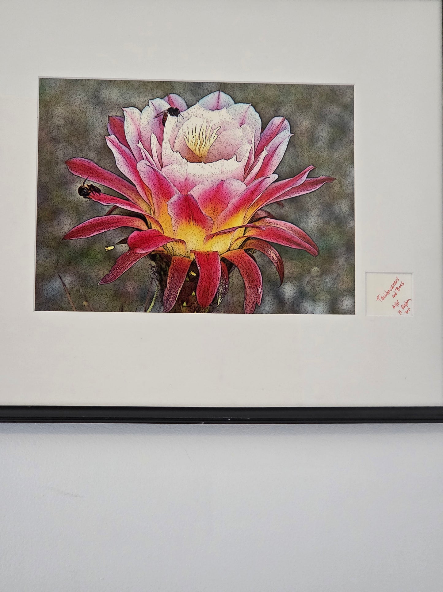 Trichocereus Flower and Bees Signed Print by H. Riga 2001 Numbered 115 Art Decor