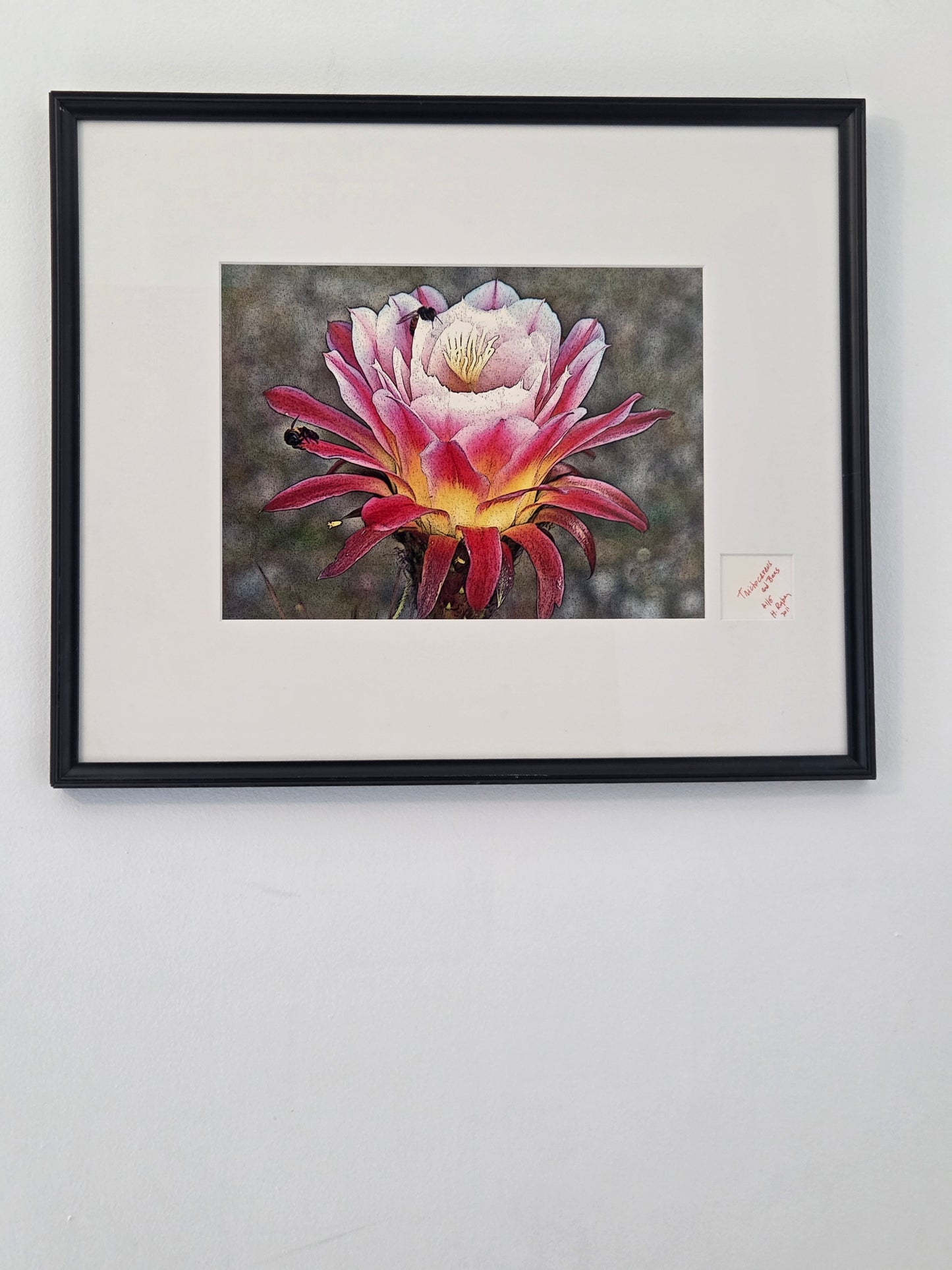 Trichocereus Flower and Bees Signed Print by H. Riga 2001 Numbered 115 Art Decor