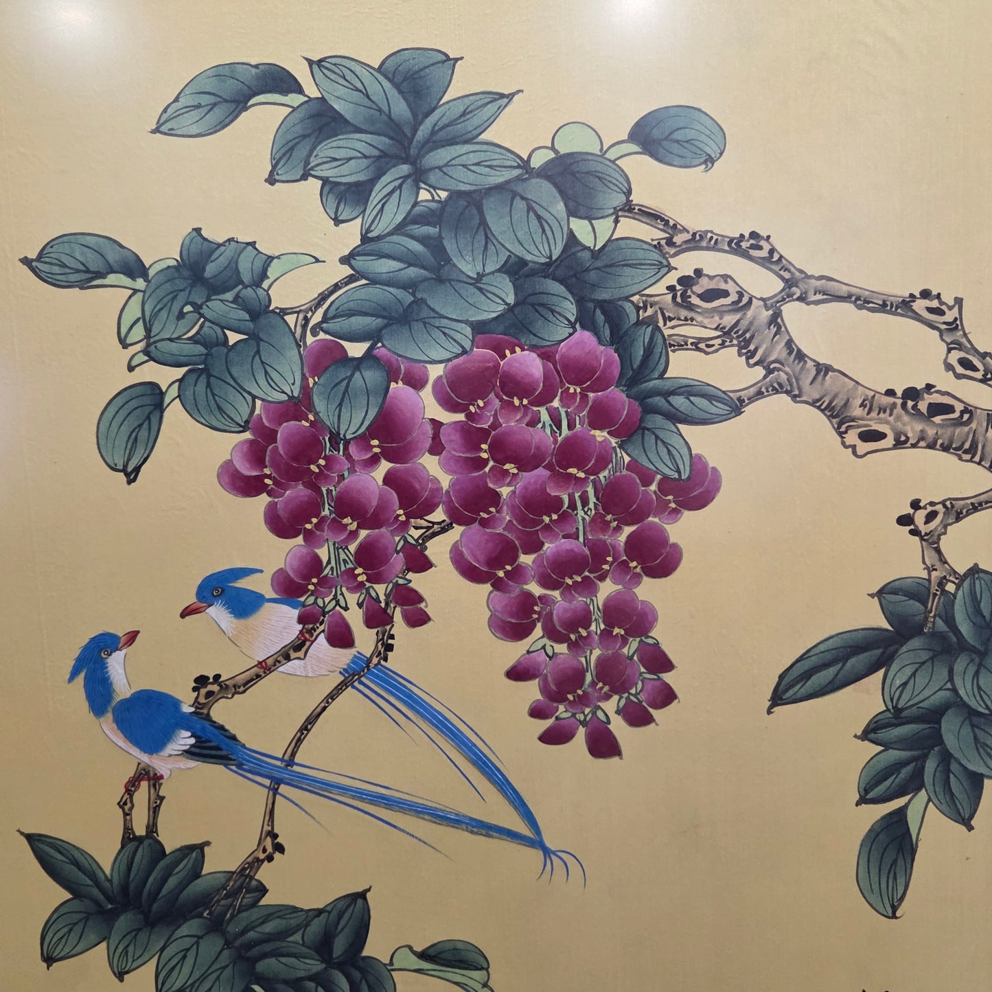 Japanese Original Painting On Silk Signed Long Tail Blue Birds Blooming Wisteria