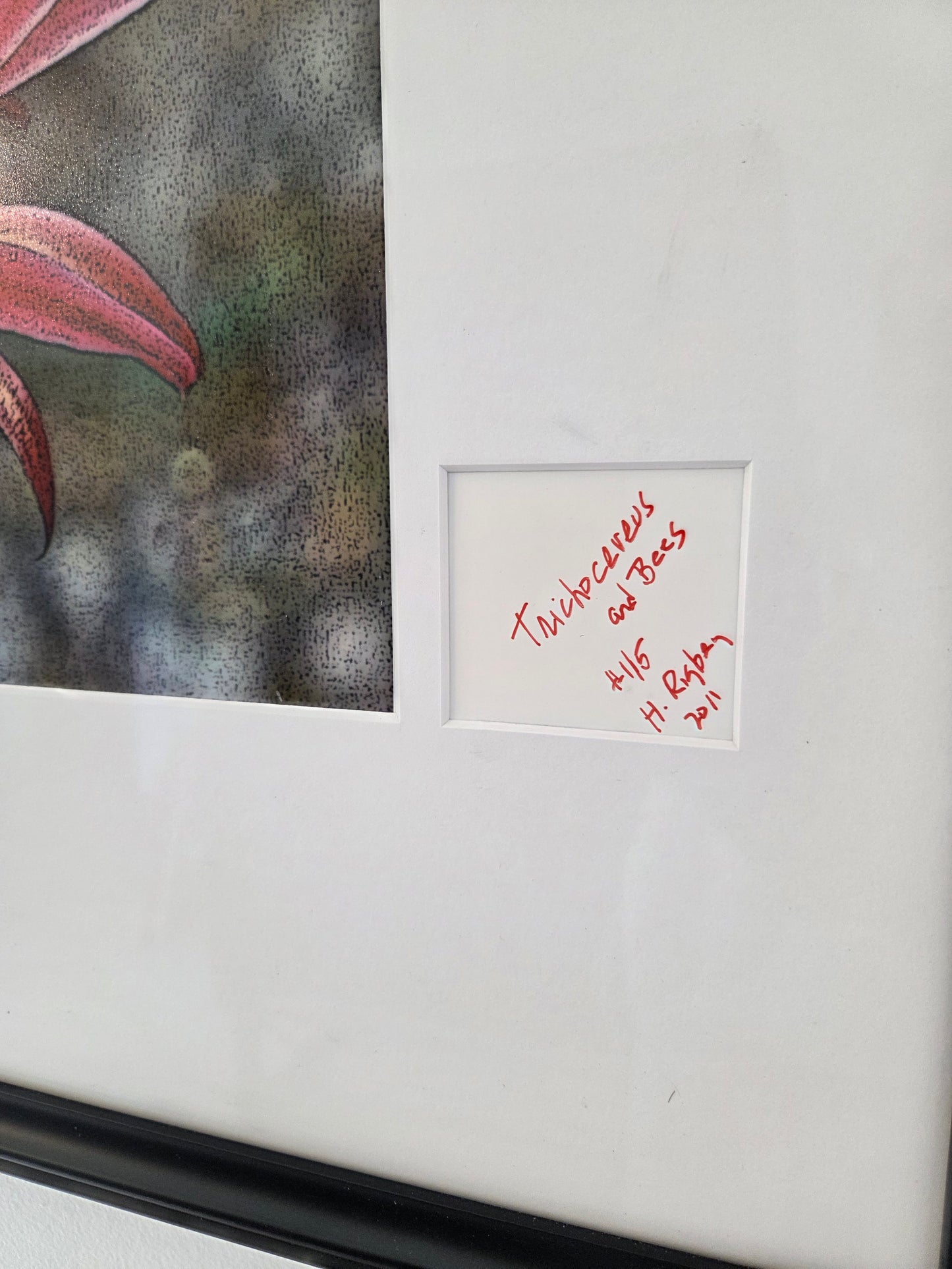 Trichocereus Flower and Bees Signed Print by H. Riga 2001 Numbered 115 Art Decor