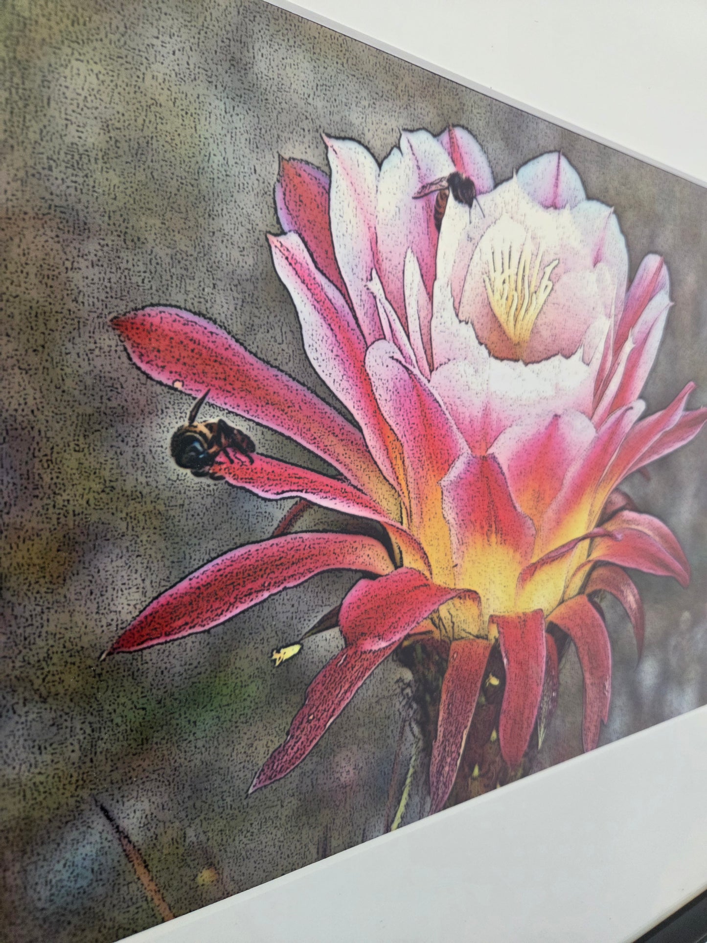 Trichocereus Flower and Bees Signed Print by H. Riga 2001 Numbered 115 Art Decor