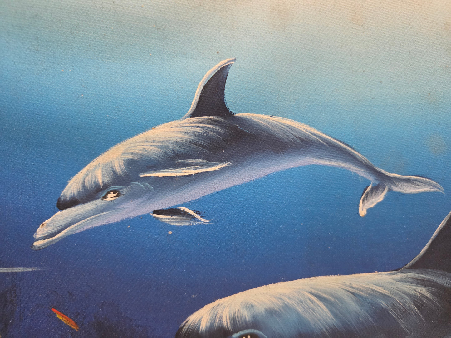 Dolphin Fish Coral Reef Painting Canvas Ocean Sea Marine Life Art Original Signd