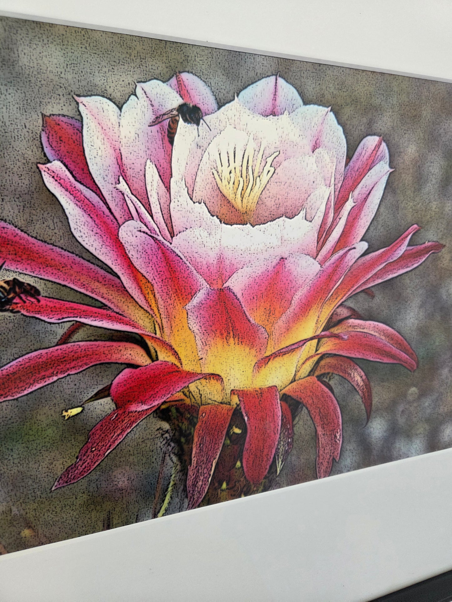 Trichocereus Flower and Bees Signed Print by H. Riga 2001 Numbered 115 Art Decor