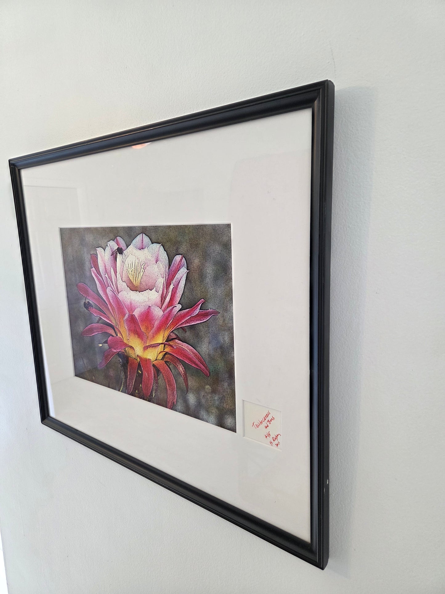 Trichocereus Flower and Bees Signed Print by H. Riga 2001 Numbered 115 Art Decor