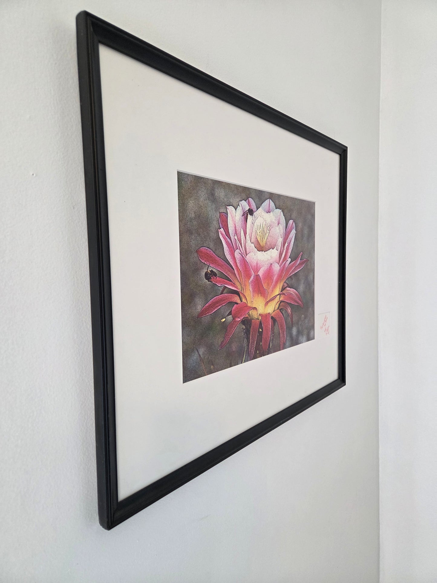 Trichocereus Flower and Bees Signed Print by H. Riga 2001 Numbered 115 Art Decor